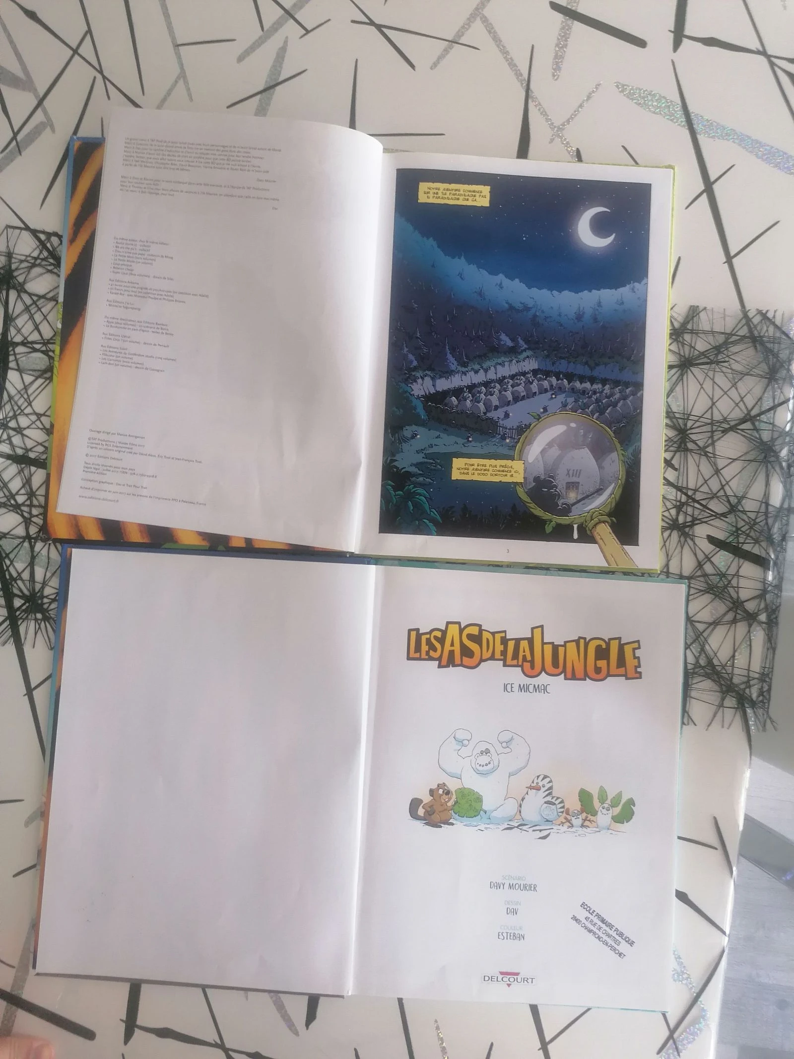 Lote de 2 BD Os As da Selva 📚 – photo 12